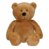 11" Sammy Bear w/T-Shirt