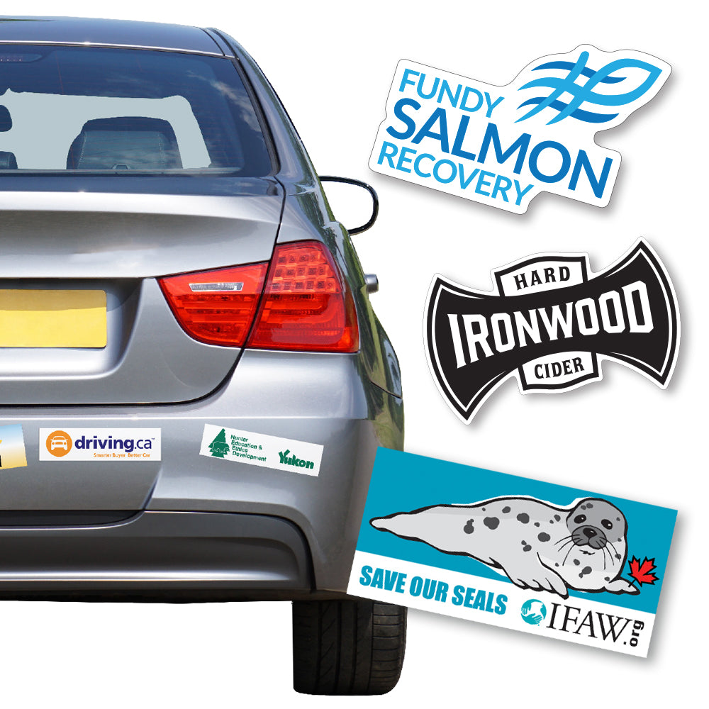 Bumper Stickers W/Removable Backing