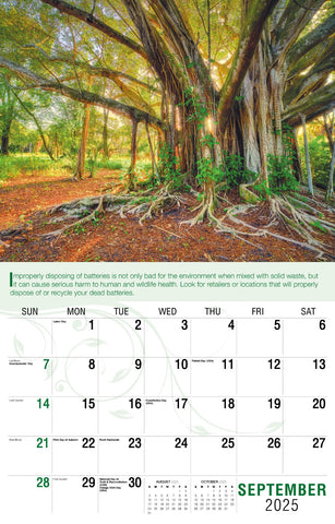 Galleria Wall Calendar 2025 Go Green Calendar