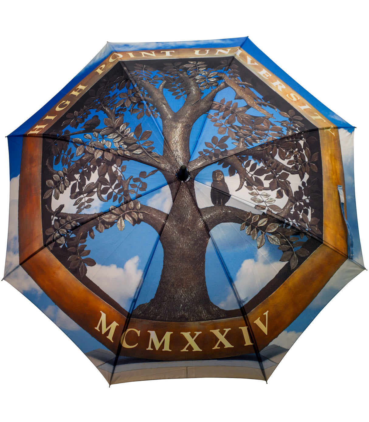 Full Color Fashion Umbrella