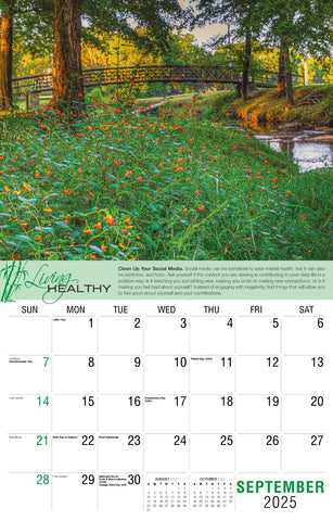 Galleria Wall Calendar 2025 Living Healthy