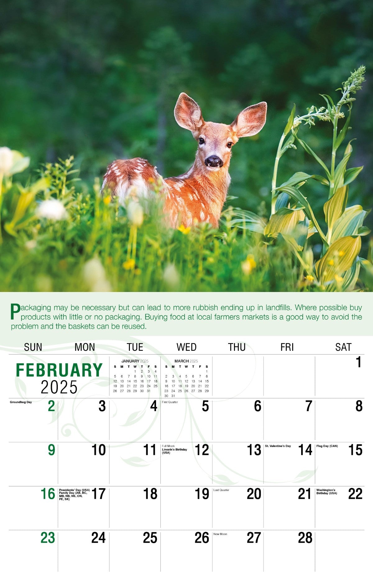 Galleria Wall Calendar 2025 Go Green Calendar