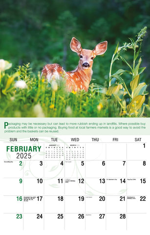 Galleria Wall Calendar 2025 Go Green Calendar