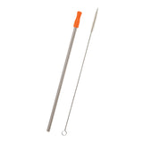 Stainless Steel Straw Kit