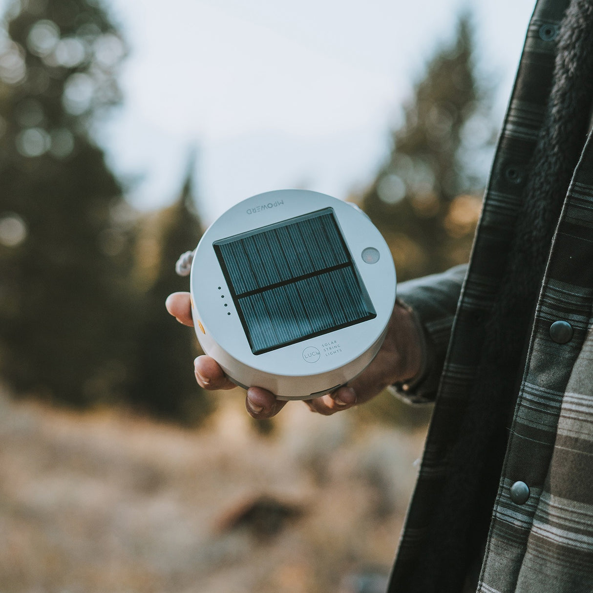 Luci Color Solar String Lights