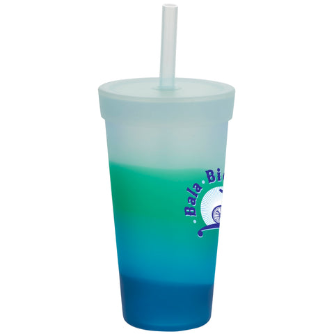 Silipint Silicone Straw Tumbler 22oz