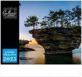 Galleria Wall Calendar 2025 Living Healthy