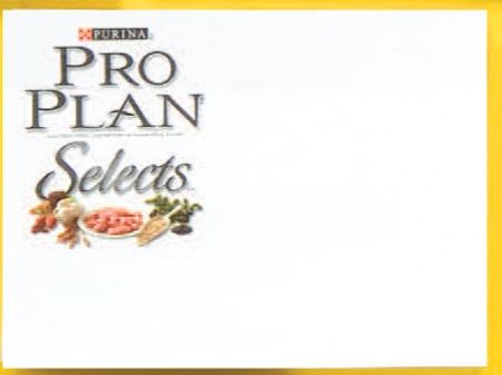 Adhesive Note Pad (6