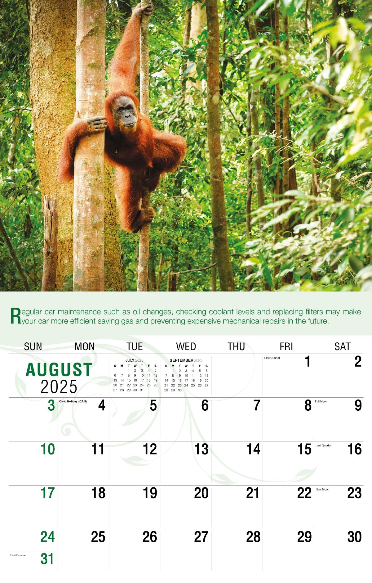 Galleria Wall Calendar 2025 Go Green Calendar