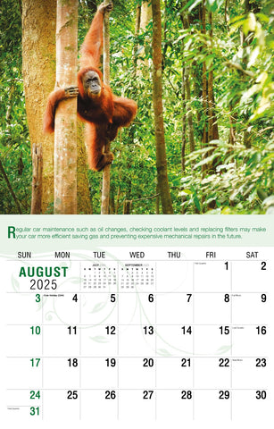 Galleria Wall Calendar 2025 Go Green Calendar
