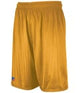 Dri-Power Mesh Shorts