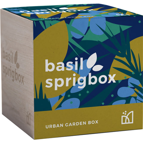 Sprigbox Basil Grow Kit