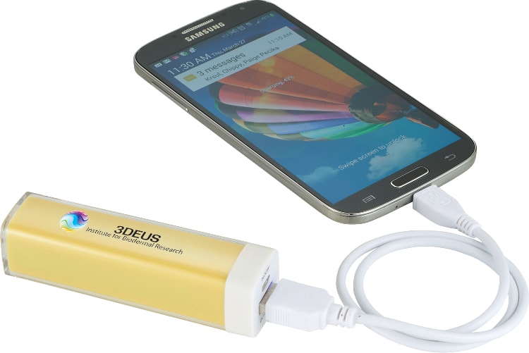 Flash 2,200 mAh Power Bank
