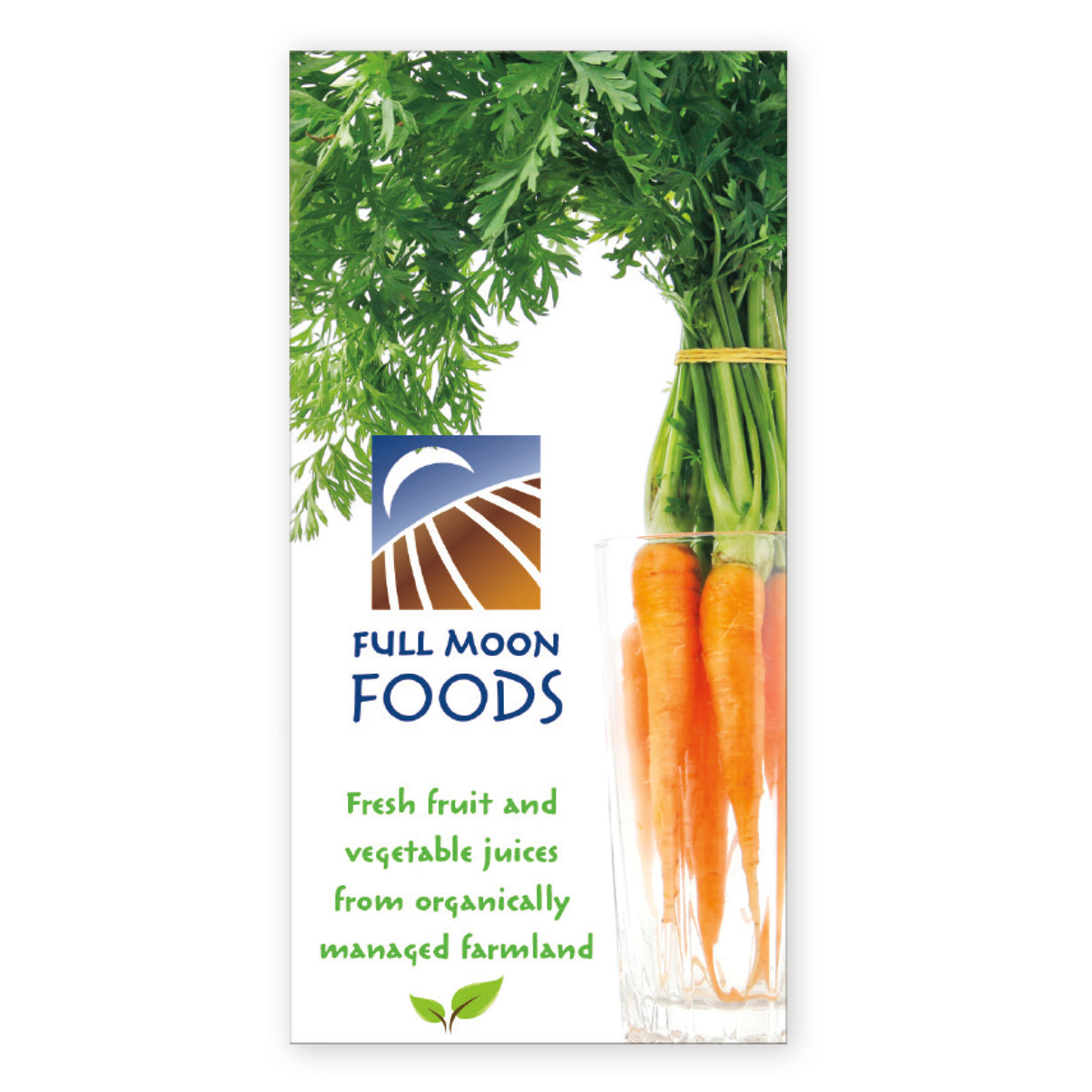 30 Mil Medium Stock Shape Magnet