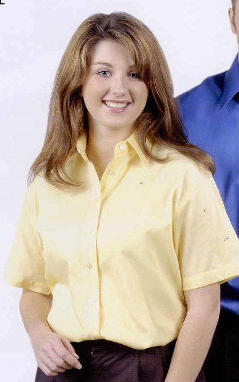 Ladies Textured Finish Short Sleeve Dress Shirt (Tan) (S-2XL)