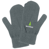 Dasher Mittens Set
