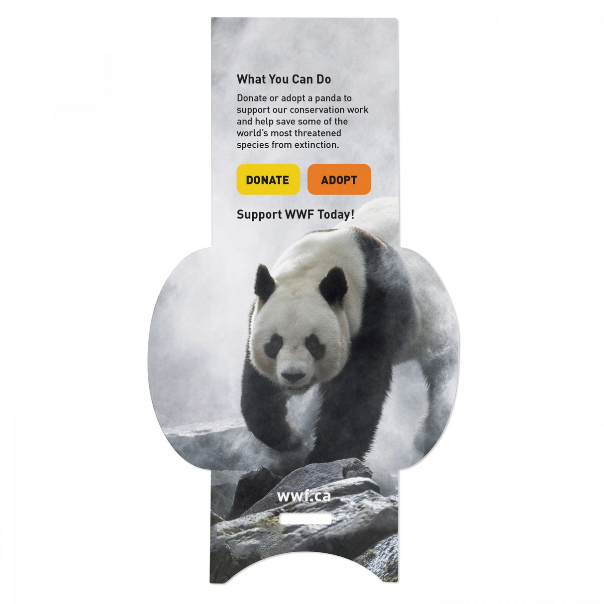 With Kiwi Scent And Small Customizable Sleeve 0 07 Fl Oz / 2 Ml Per Packet