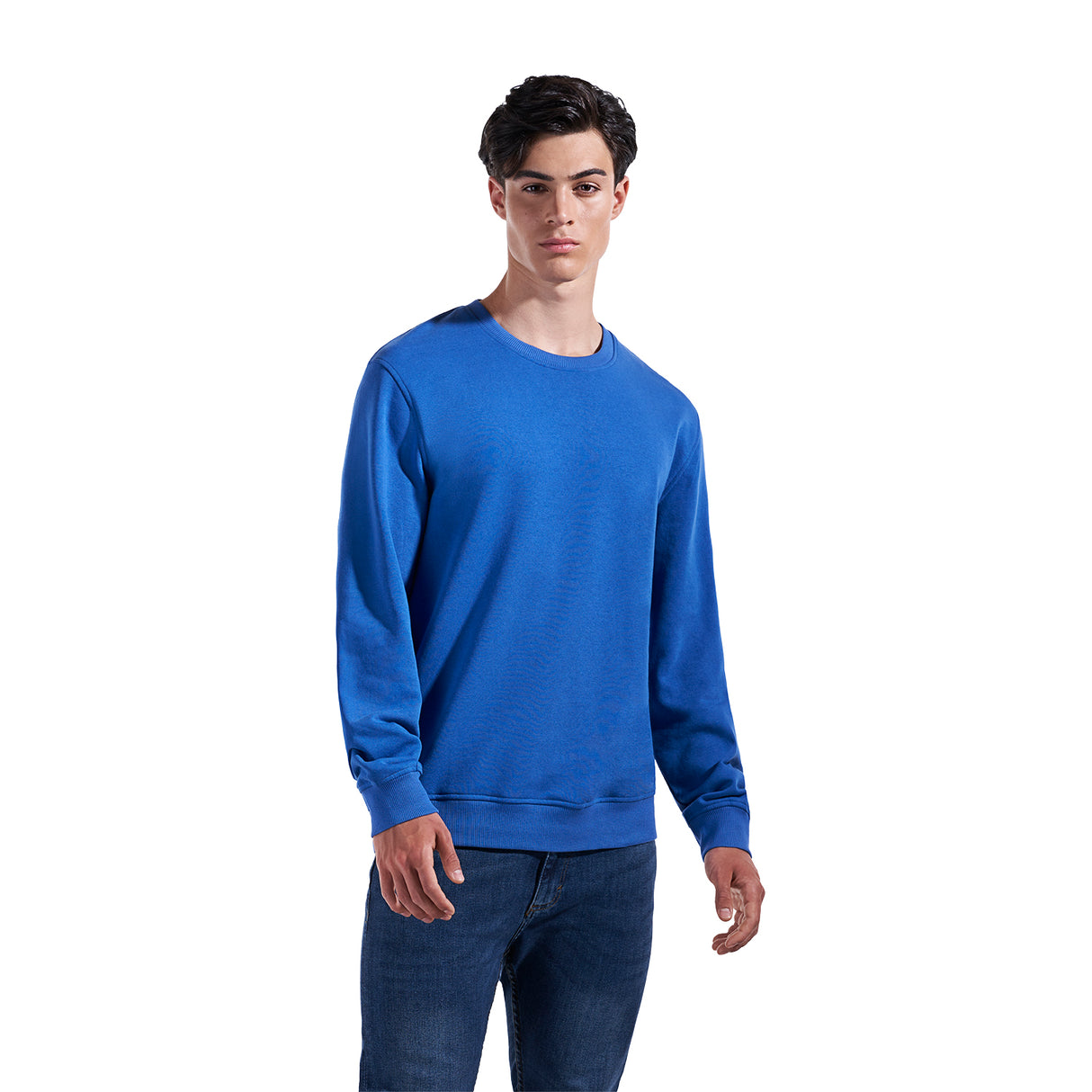 Adult Crewneck Pullover Sweatshirt