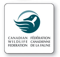 Custom Vehicle Magnet Sign (20