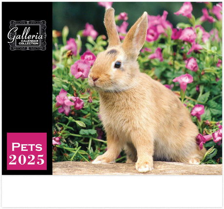 Galleria Wall Calendar 2025 Pets