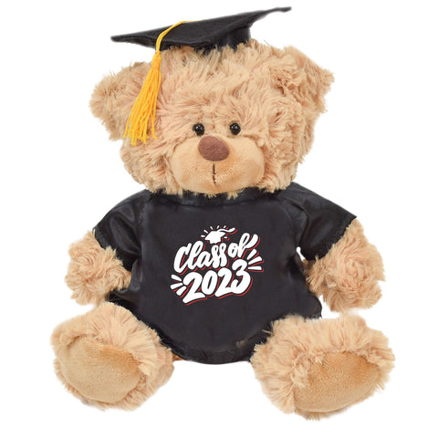 Graduation Bear - 11