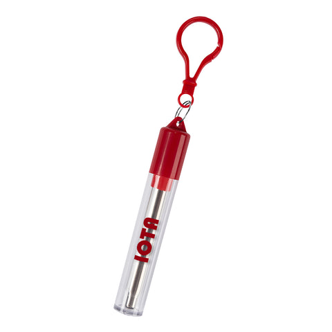 Collapsible Stainless Steel Straw Kit