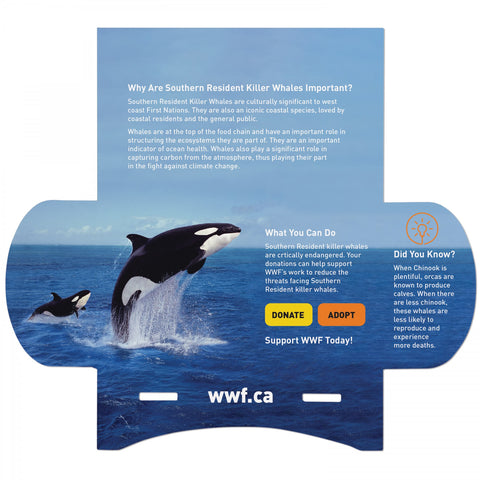 With Kiwi Scent And Large Customizable Sleeve 0 07 Fl Oz / 2 Ml Per Packet