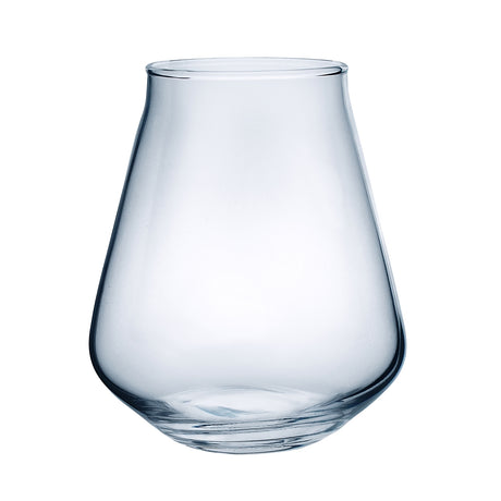 Hugo 13.25oz clear stemless craft beer glass