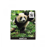 With Kiwi Scent And Small Customizable Sleeve 0 07 Fl Oz / 2 Ml Per Packet