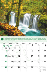 Galleria Wall Calendar 2025 Go Green Calendar