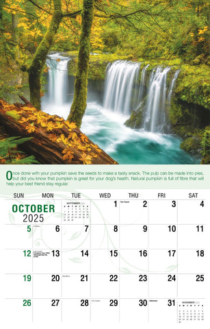 Galleria Wall Calendar 2025 Go Green Calendar