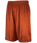 Dri-Power Mesh Shorts