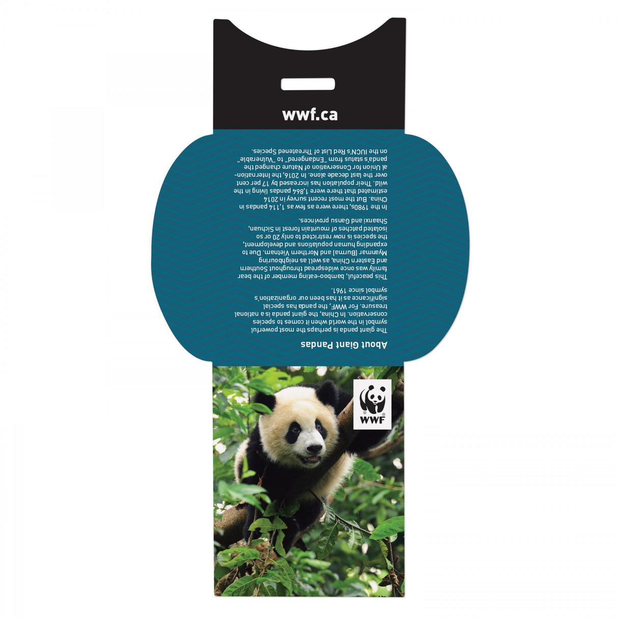 With Kiwi Scent And Small Customizable Sleeve 0 07 Fl Oz / 2 Ml Per Packet