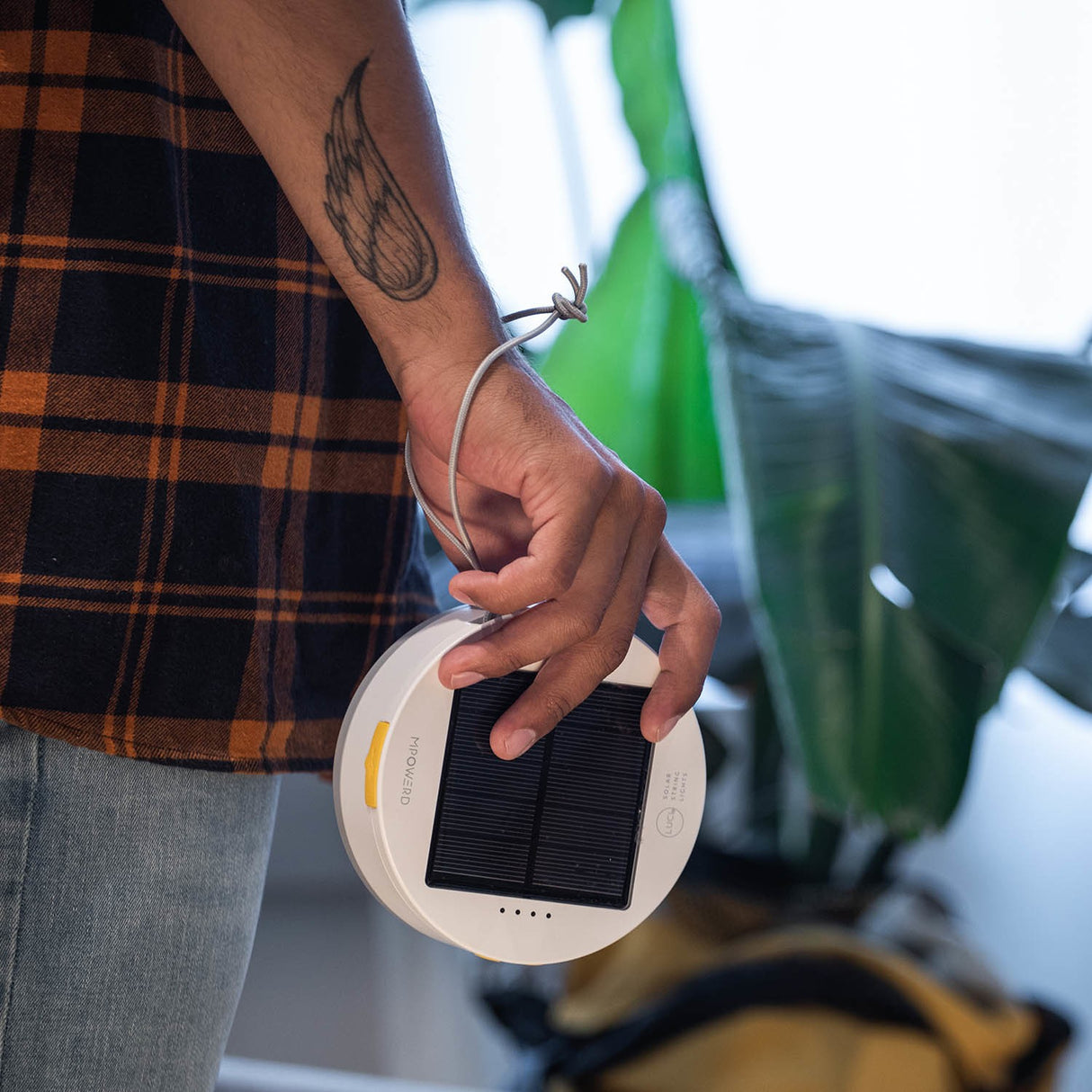 Luci Color Solar String Lights