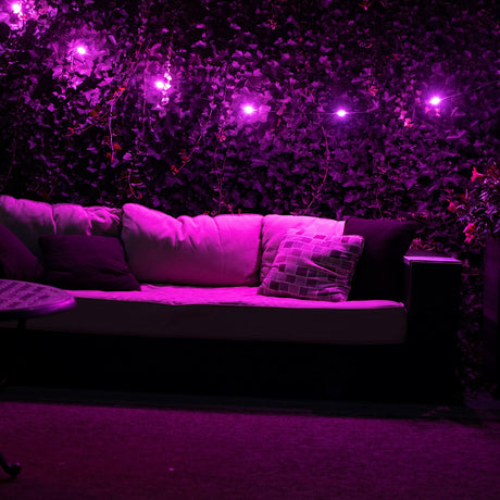 Luci Color Solar String Lights