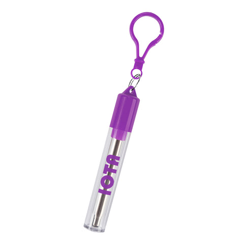 Collapsible Stainless Steel Straw Kit