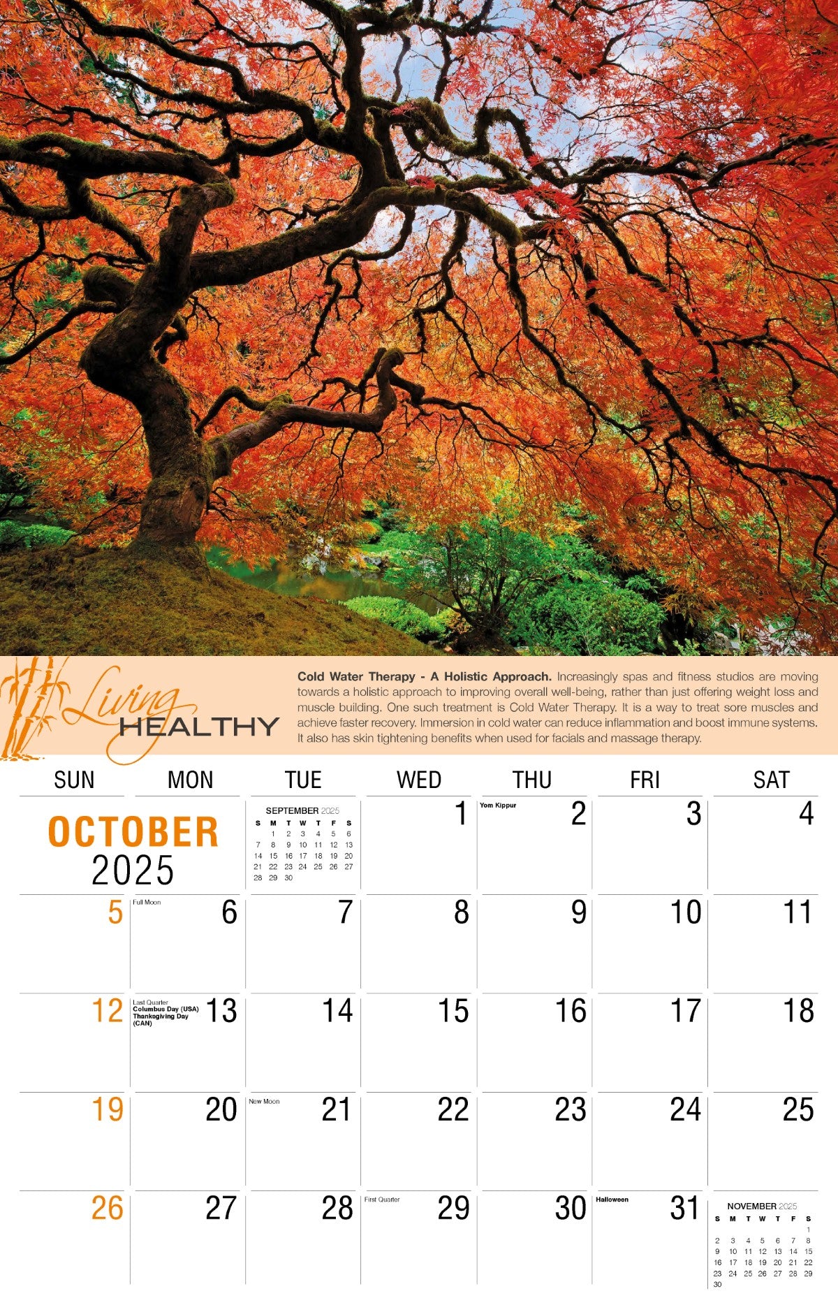 Galleria Wall Calendar 2025 Living Healthy
