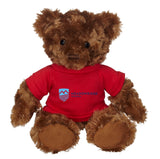 11" Fergus Bear w/T-Shirt