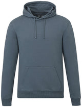 tentree Organic Cotton Classic Hoodie - Men's