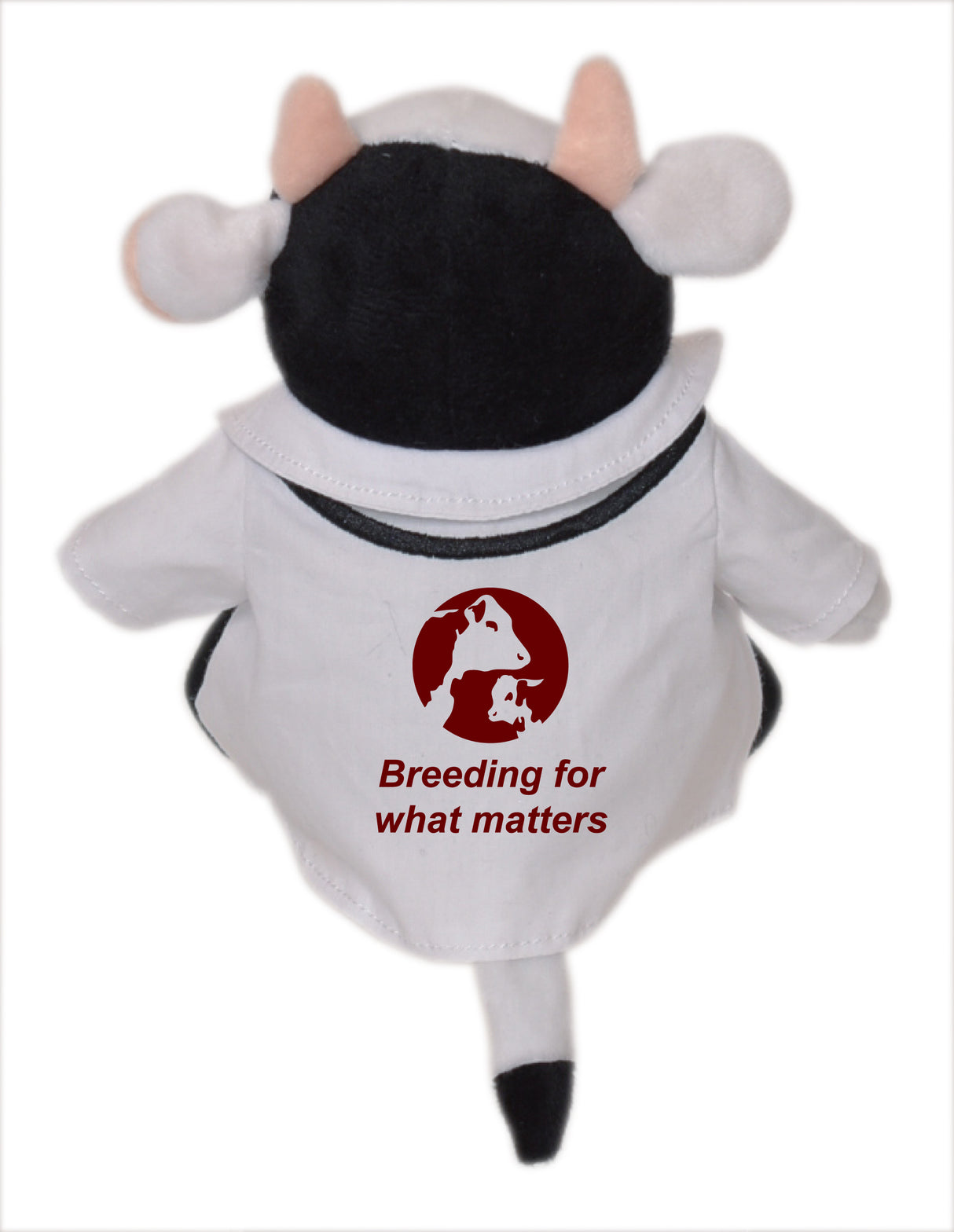 6" Mini Me Casey Cow w/Doctor Coat