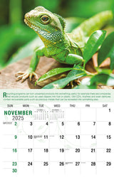 Galleria Wall Calendar 2025 Go Green Calendar
