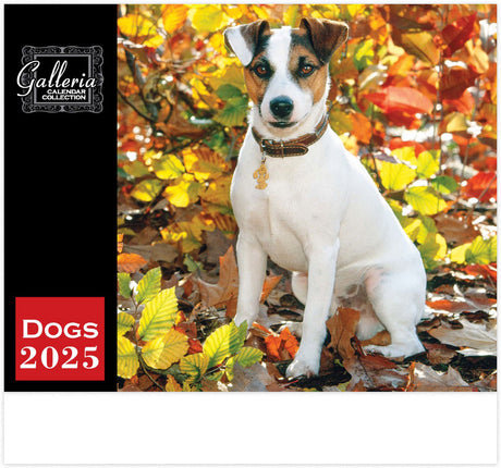 Galleria Wall Calendar 2025 Dogs Calendar