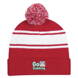 Two-tone Knit Pom Beanie With Cuff