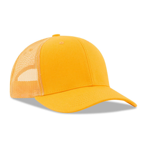 Deluxe 6 Panel Constructed Cotton Twill Mesh Back Pro Style Cap