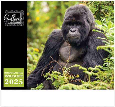 Galleria Wall Calendar 2025 International Wildlife