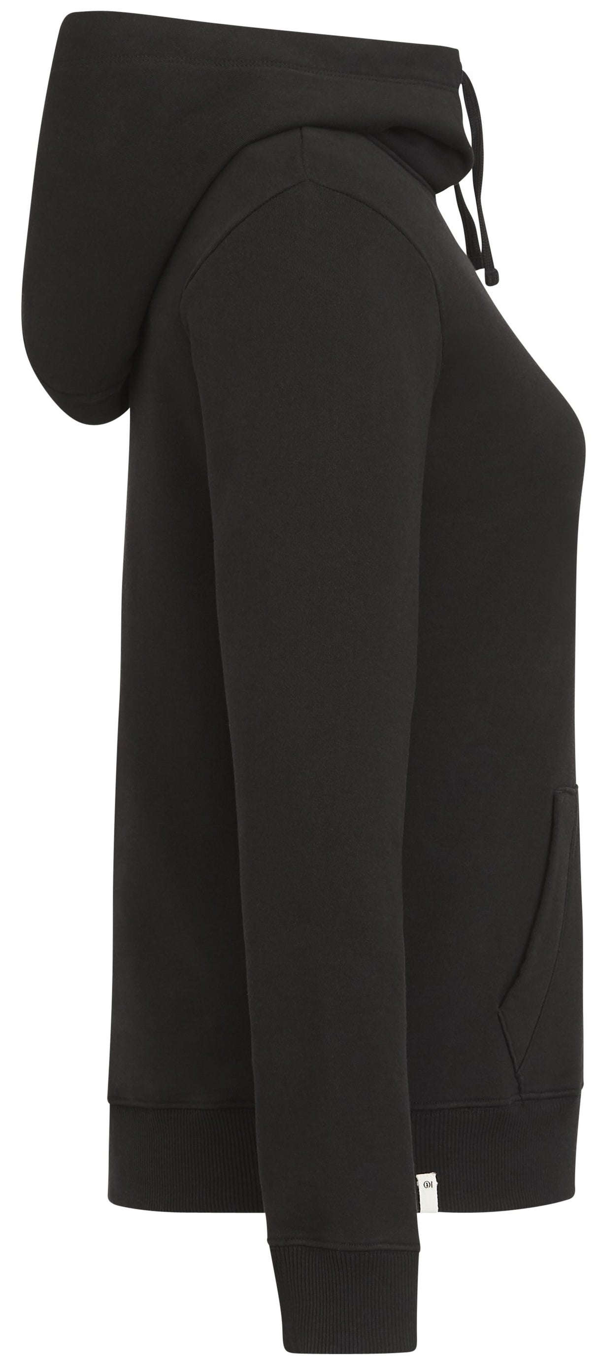 tentree Organic Cotton Banshee Hoodie - Women's