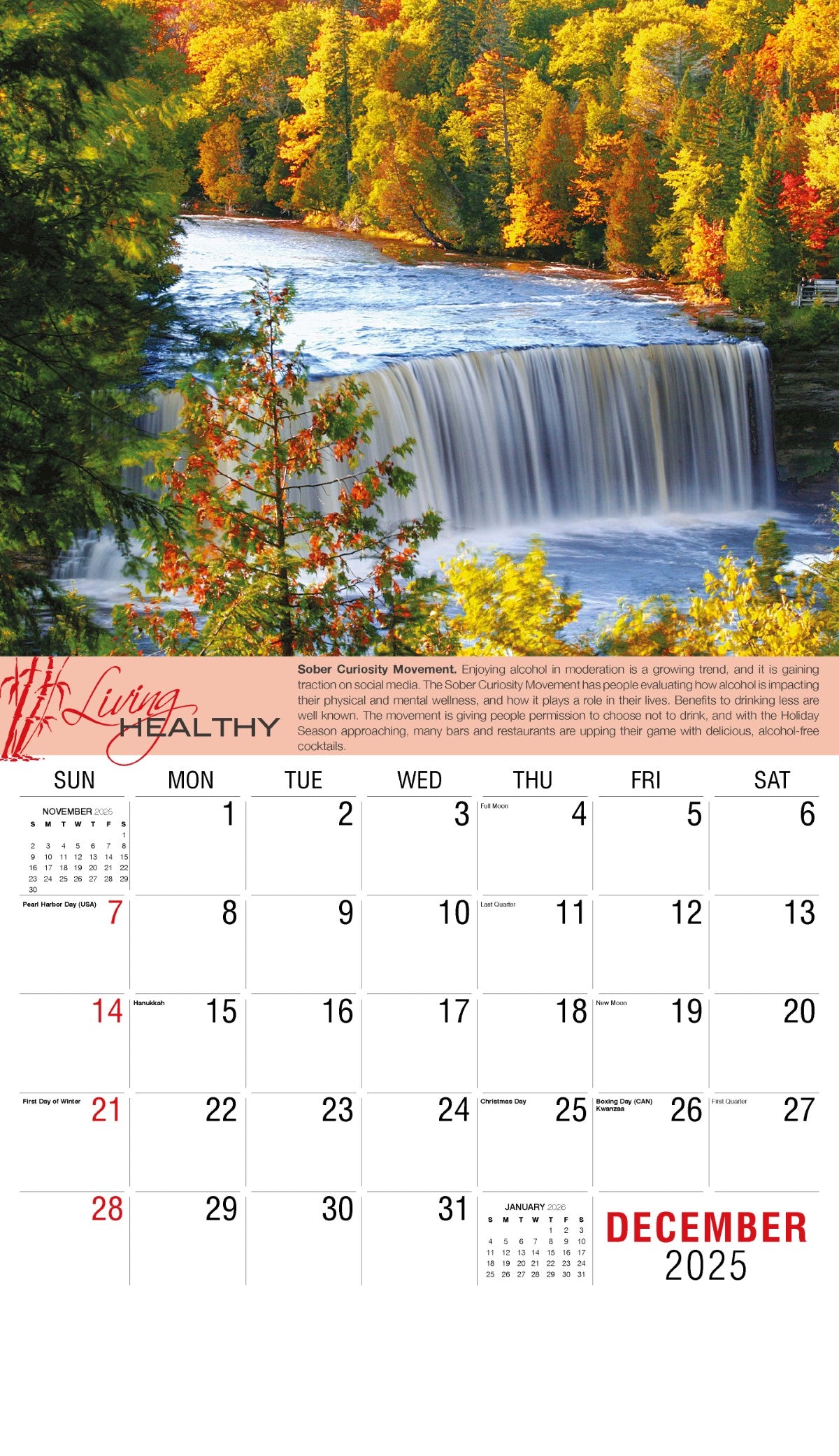 Galleria Wall Calendar 2025 Living Healthy