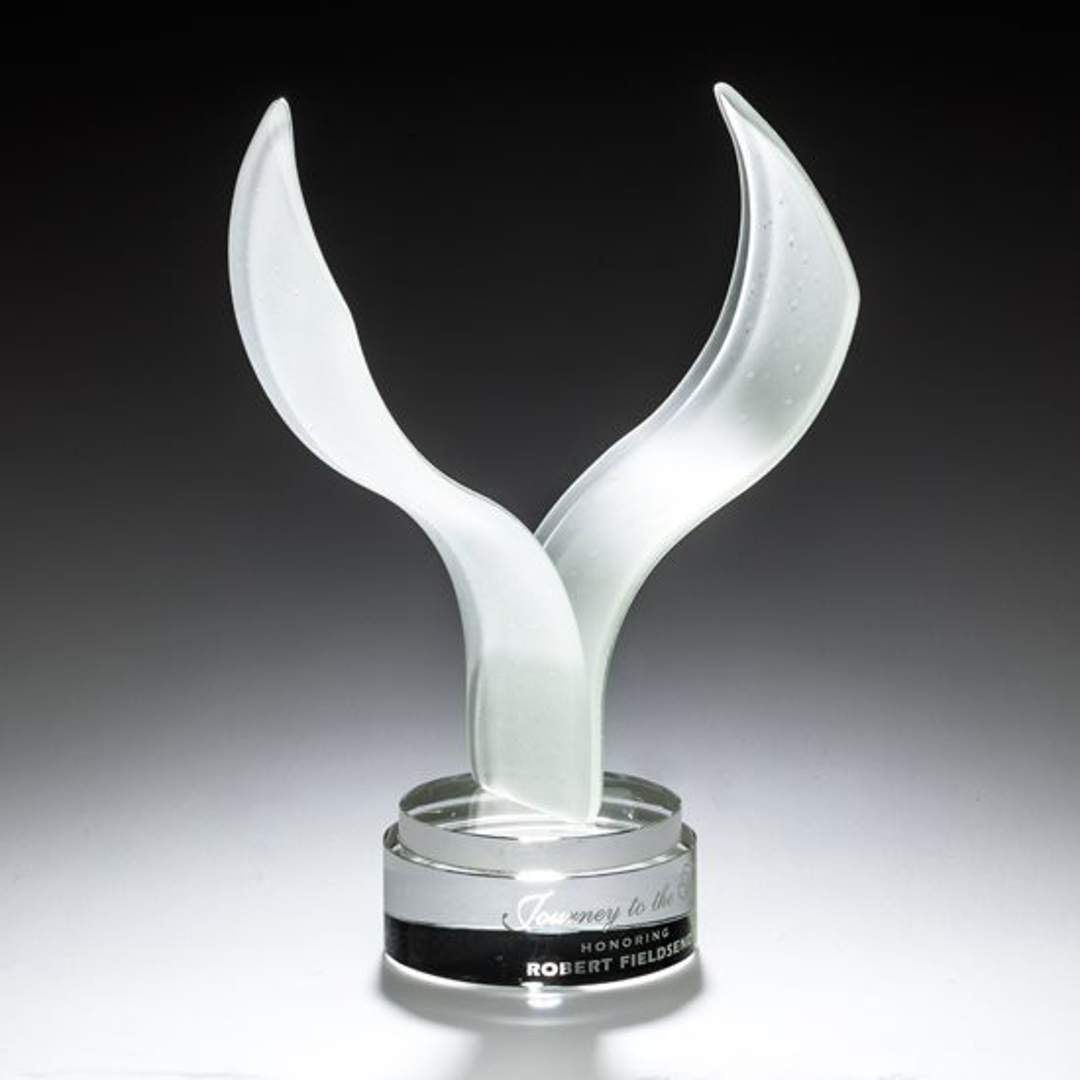 Aerial Award