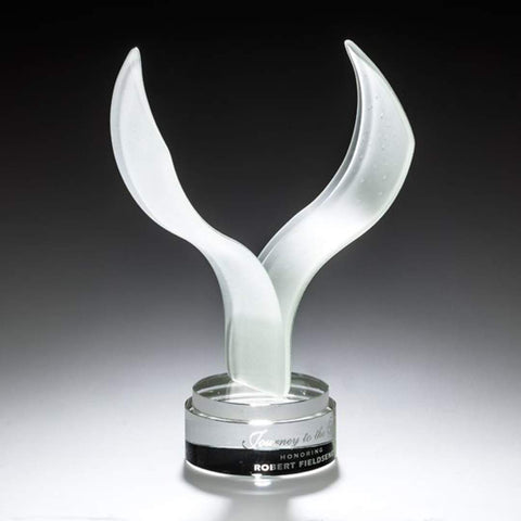 Aerial Award